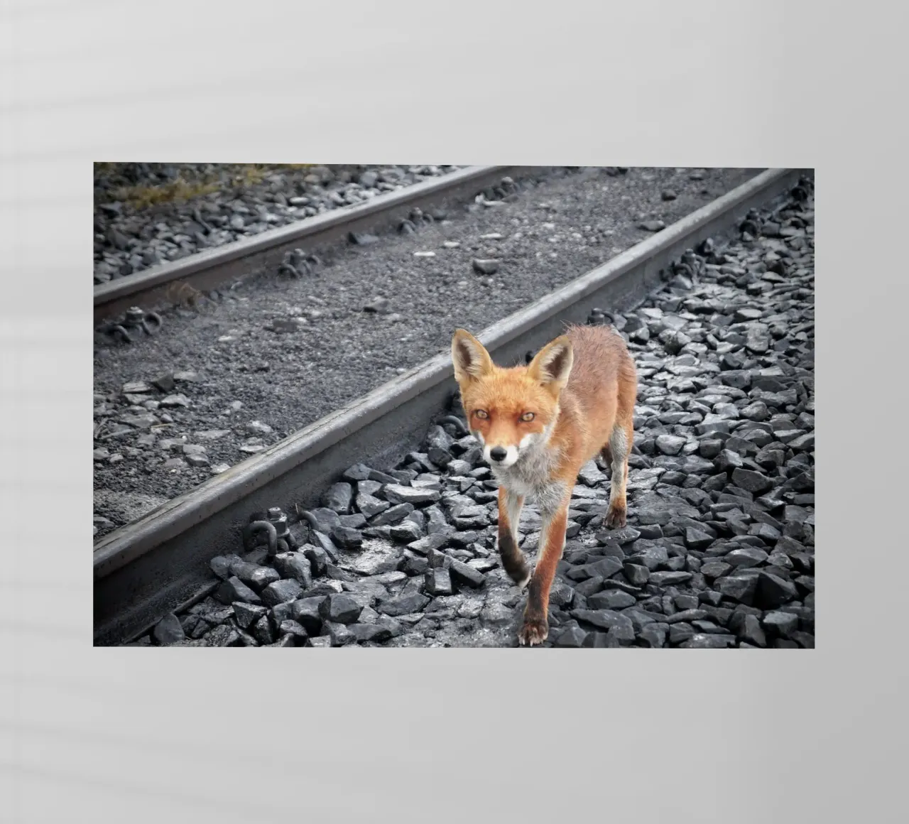 Between Tracks pellicola backlit da JUNIQERIN photography by Dorothea Baur