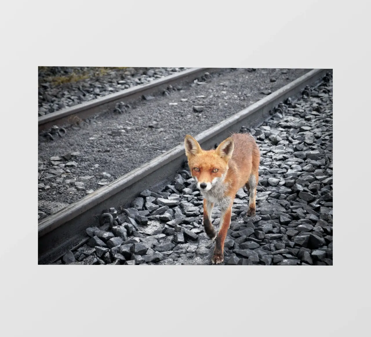 Between Tracks pellicola backlit da JUNIQERIN photography by Dorothea Baur