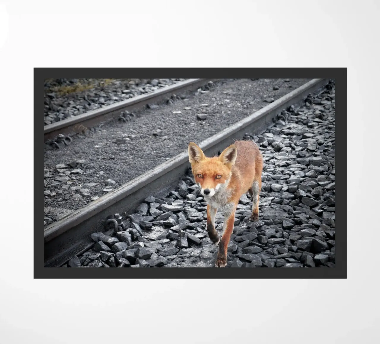 Tussen sporen deurmat van JUNIQERIN photography by Dorothea Baur