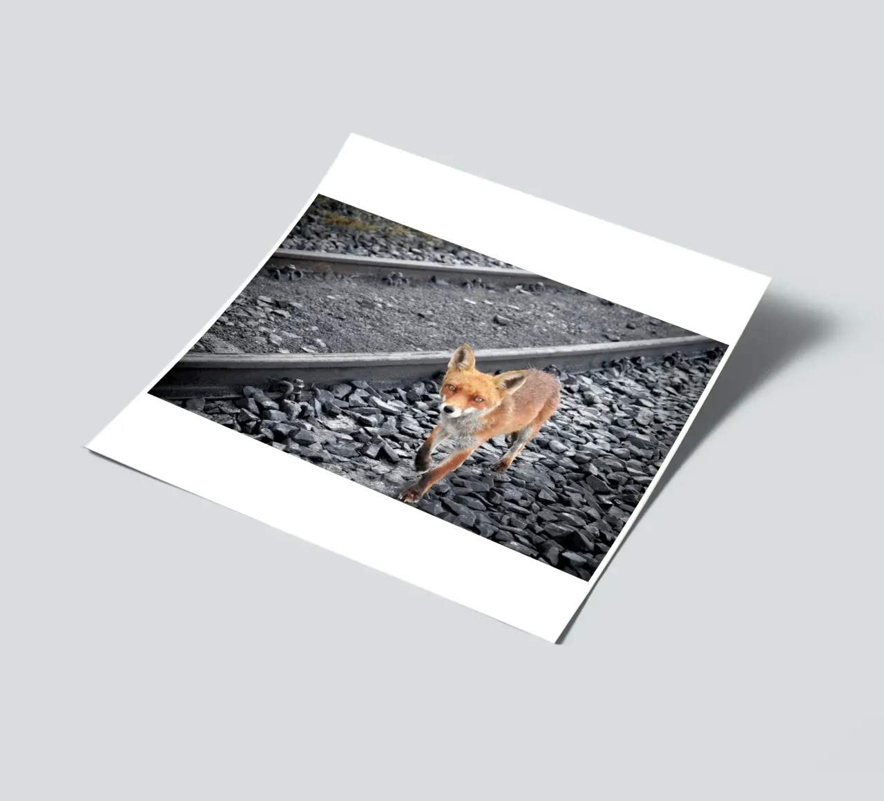 Between Tracks sticker sheet by JUNIQERIN photography by Dorothea Baur