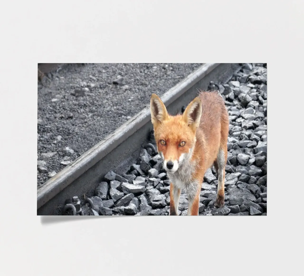 Between Tracks sticker sheet by JUNIQERIN photography by Dorothea Baur