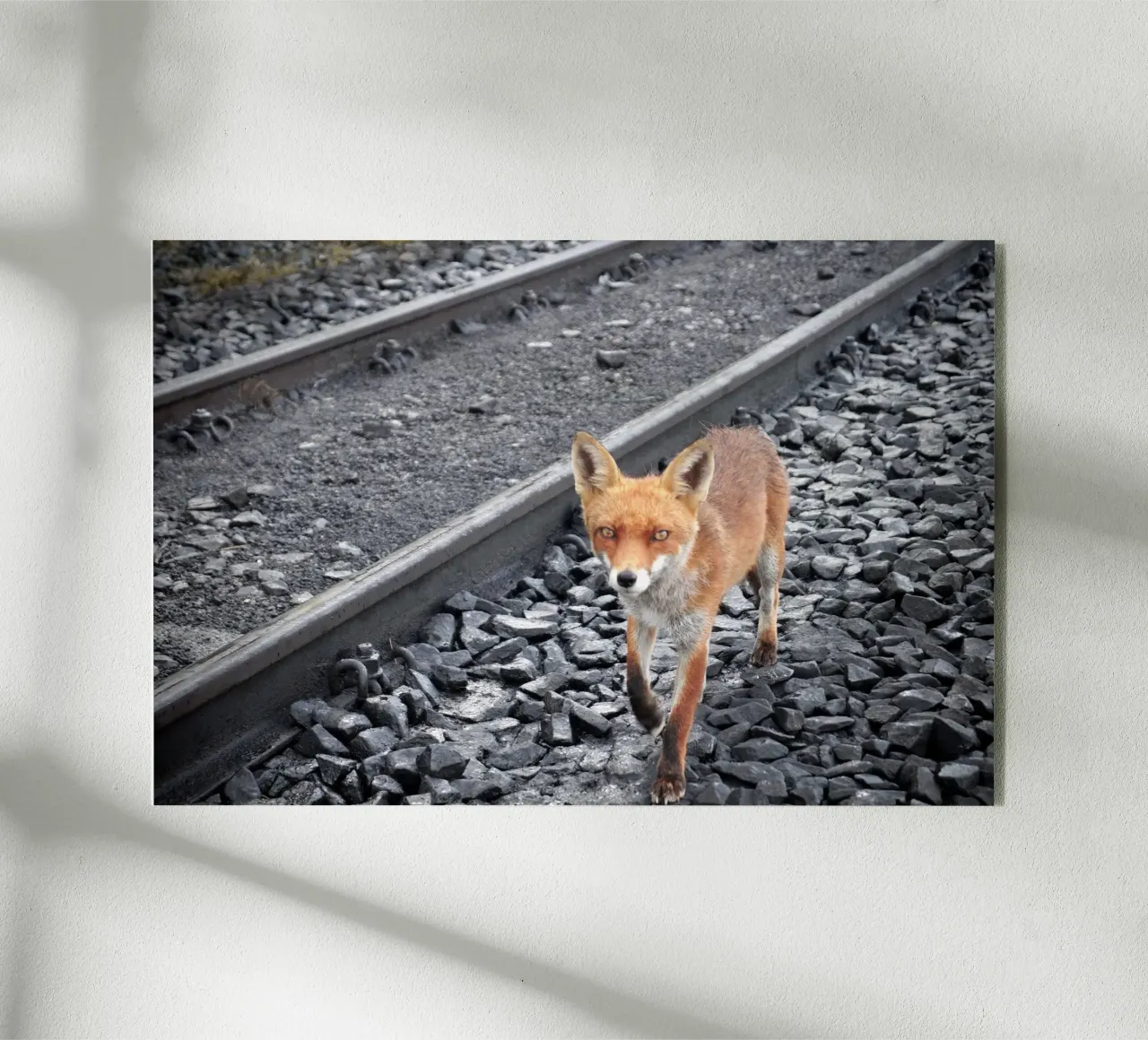 Tra le tracce plexiglass da JUNIQERIN photography by Dorothea Baur