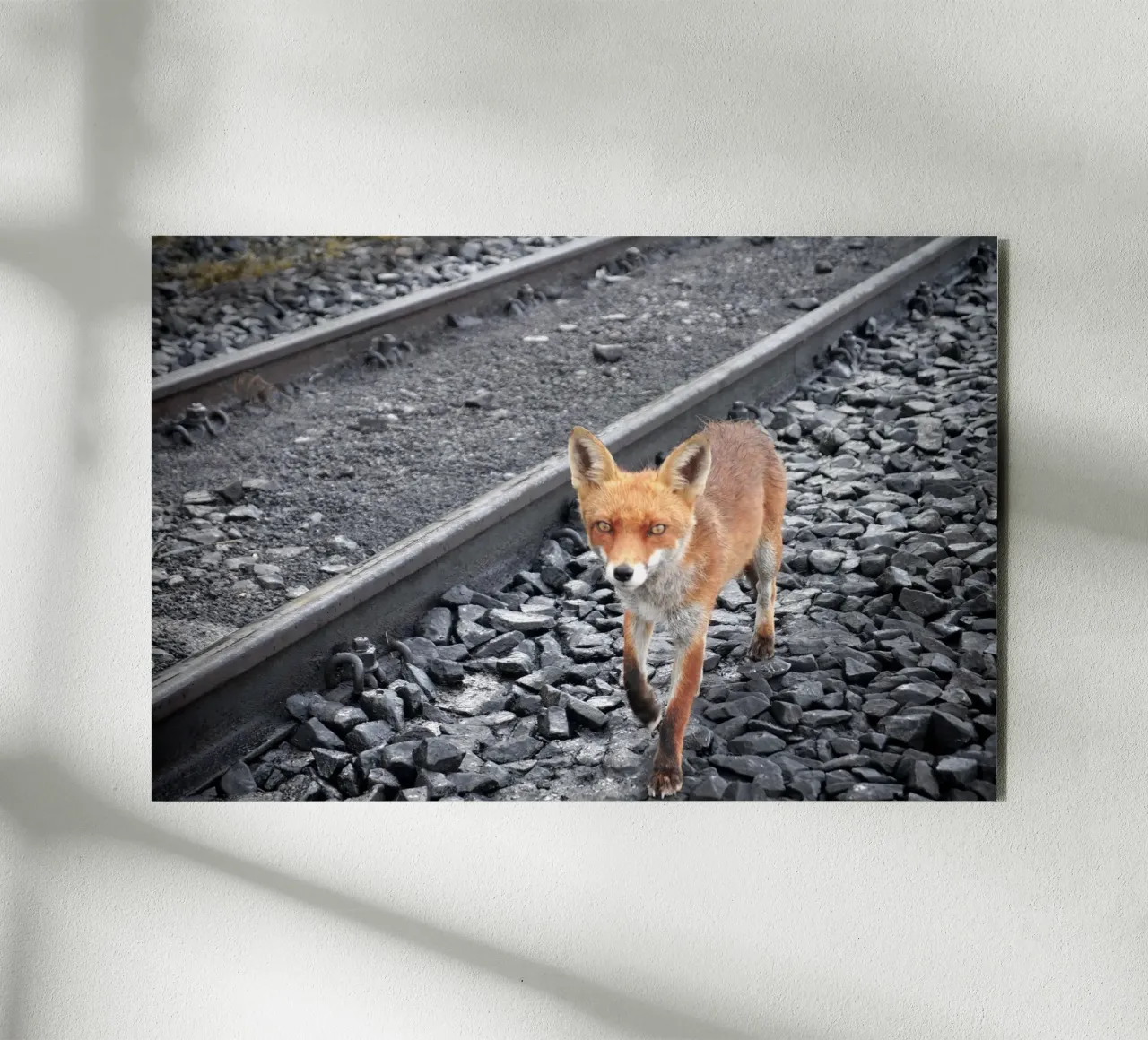 Between Tracks forex plate by JUNIQERIN photography by Dorothea Baur