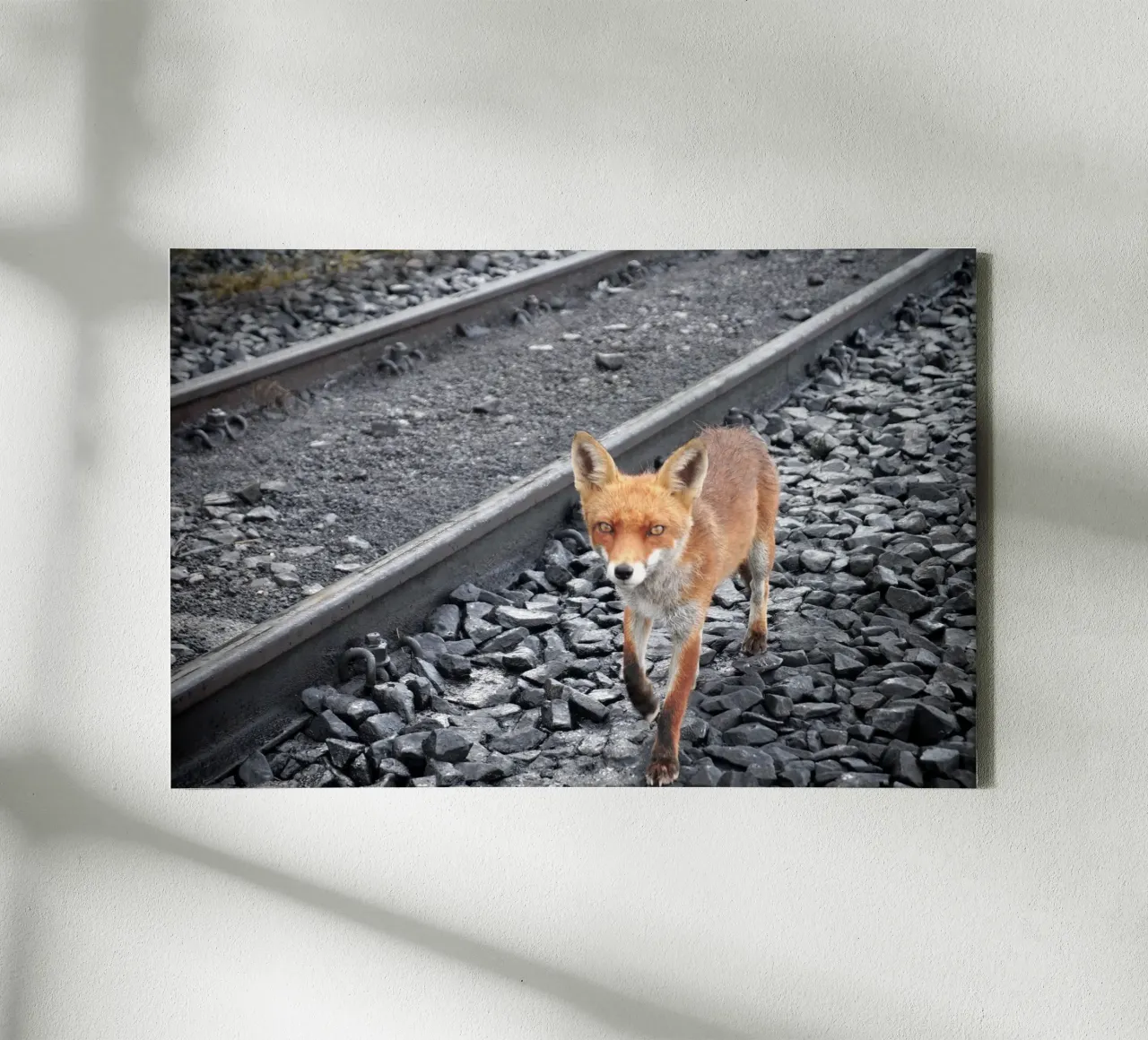 Tra le tracce tela da JUNIQERIN photography by Dorothea Baur