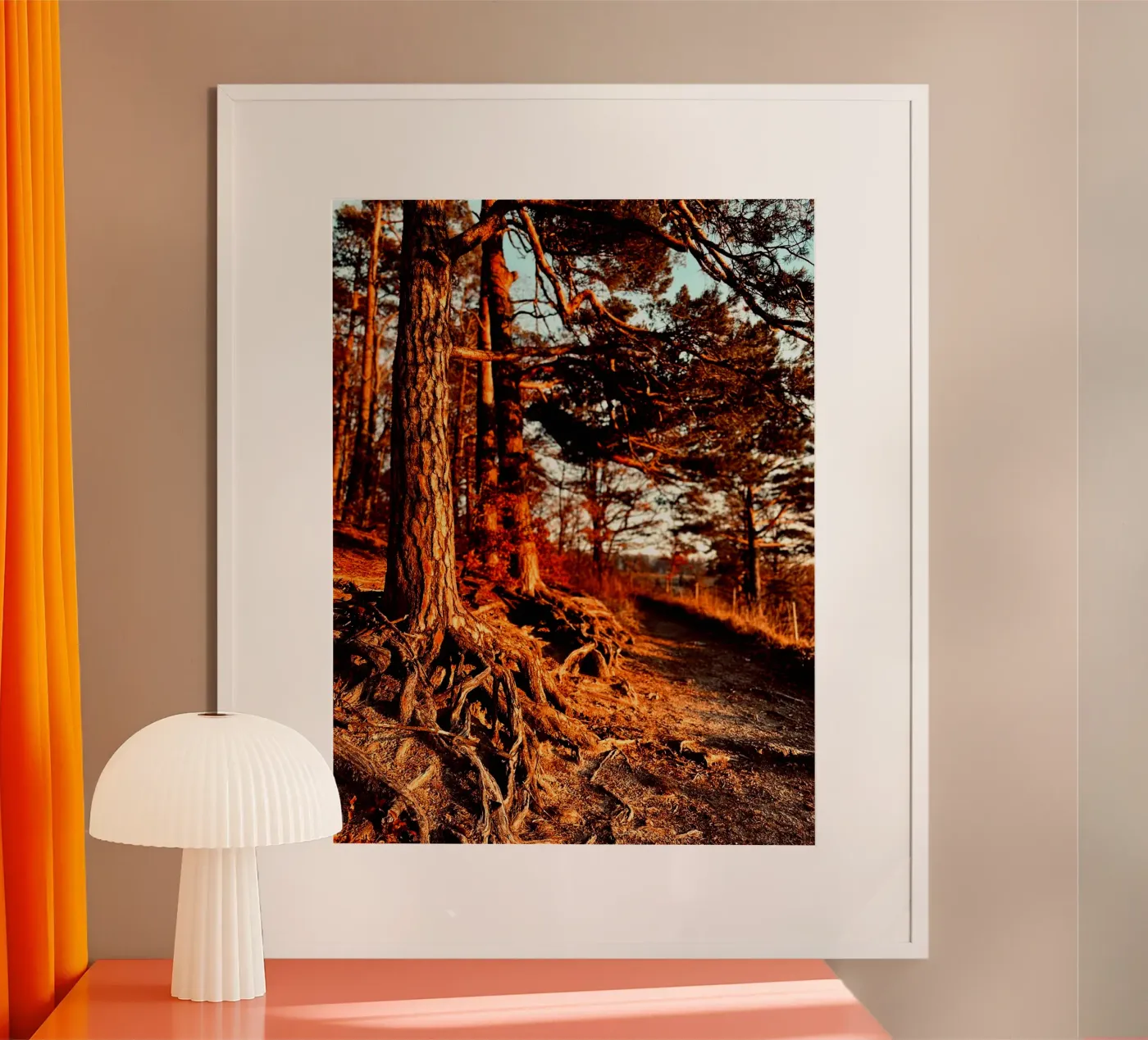 soft forest light poster van blatt & stil - Naturmomente