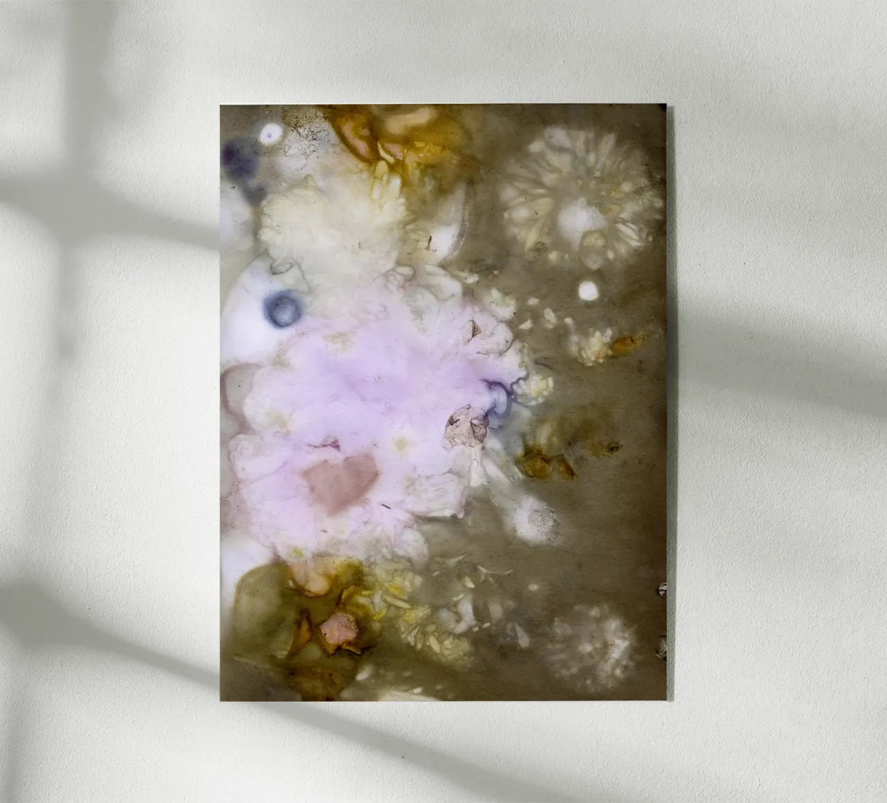 Botanic Print #12 plexiglass da kathrinmay