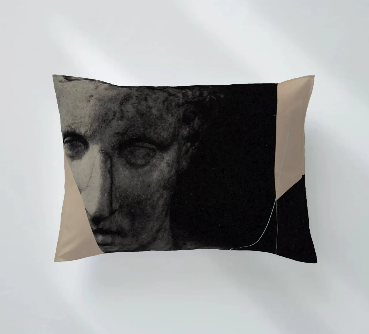 The pursuit of Recovery cuscino da Frank Moth