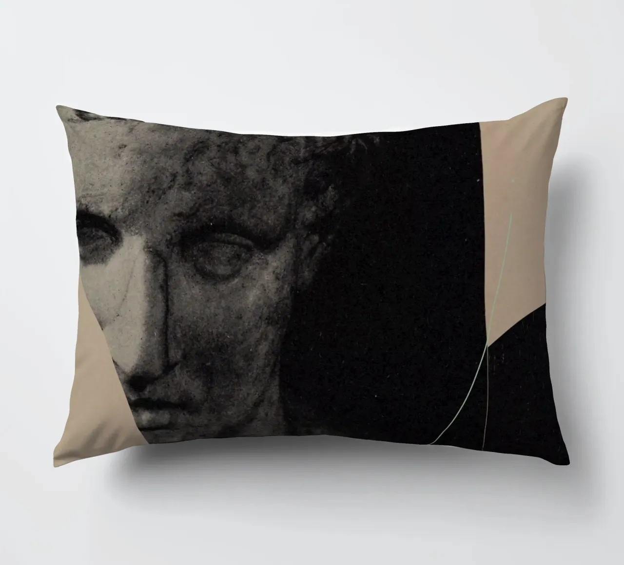 The pursuit of Recovery cuscino da Frank Moth