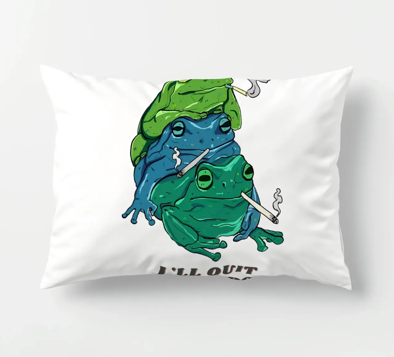 Follie da ranocchio cuscino da DesignArt