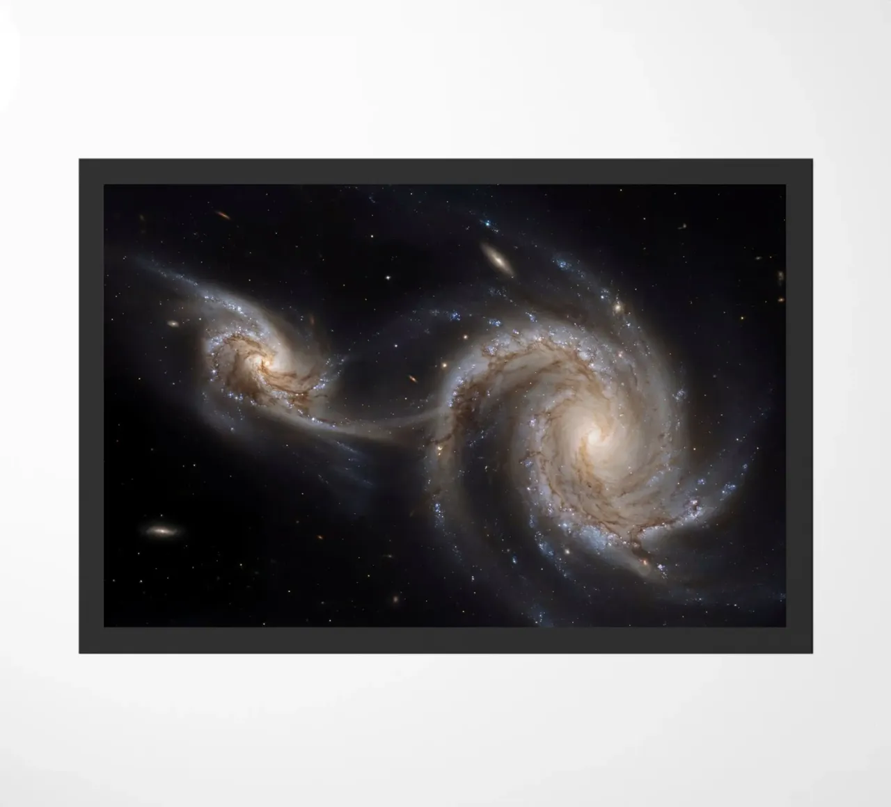 Entanglement zerbino da Stellar Dream Art