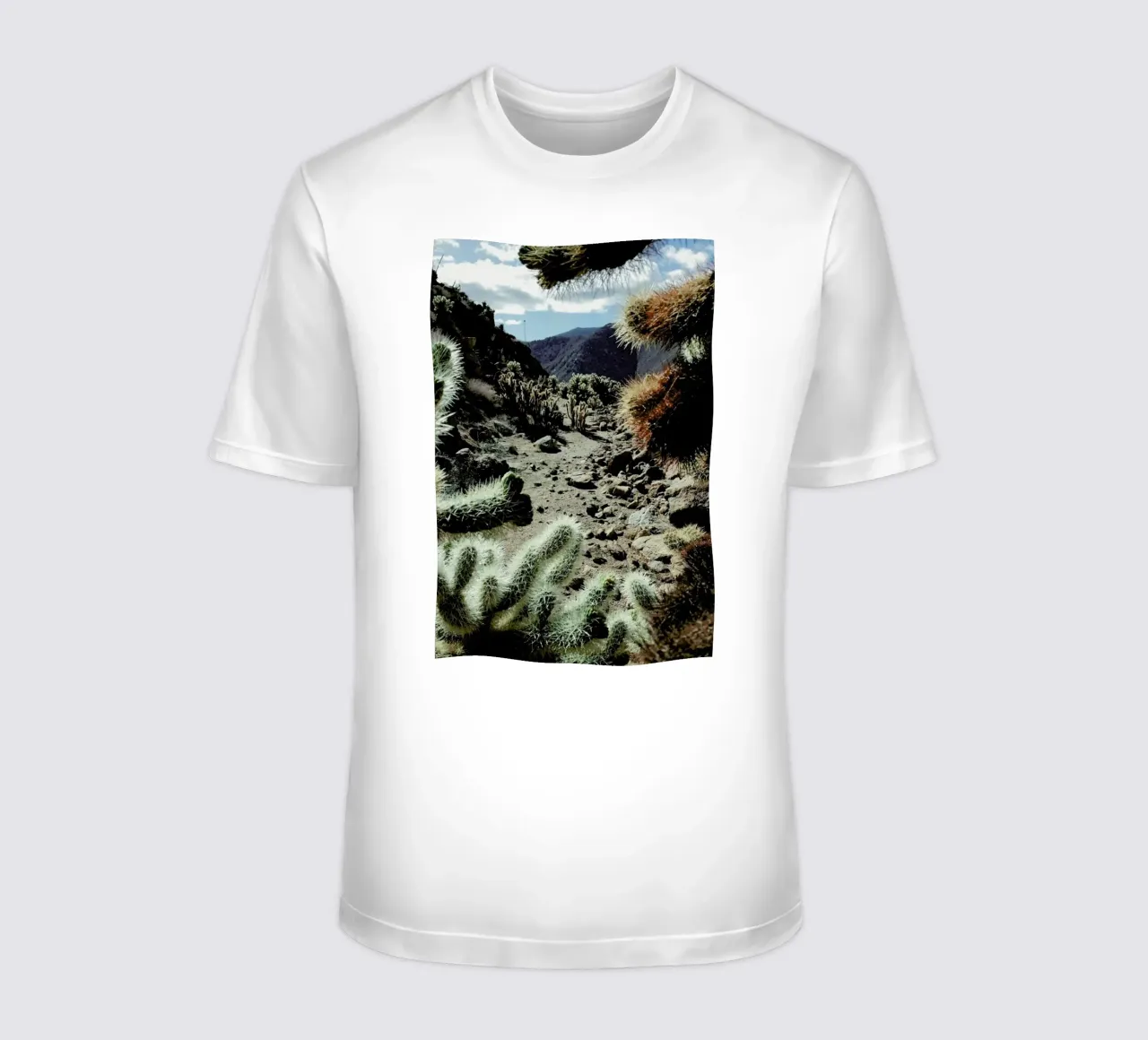 Cholla Frame t-shirt da Kevin Russ