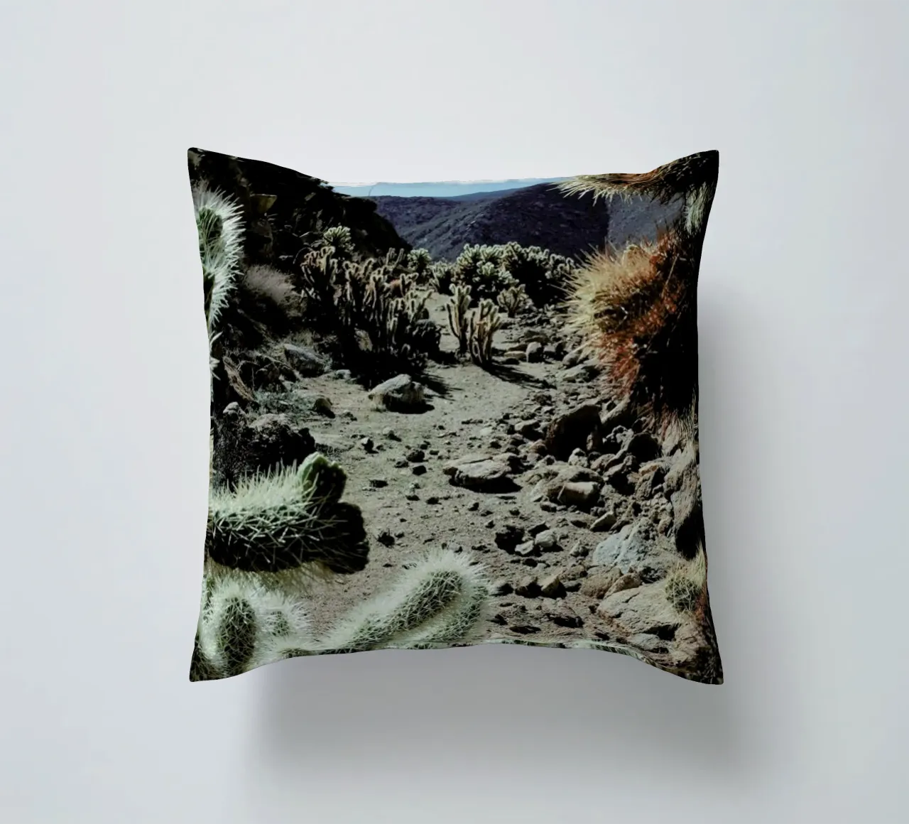 Cholla Frame cuscino da Kevin Russ