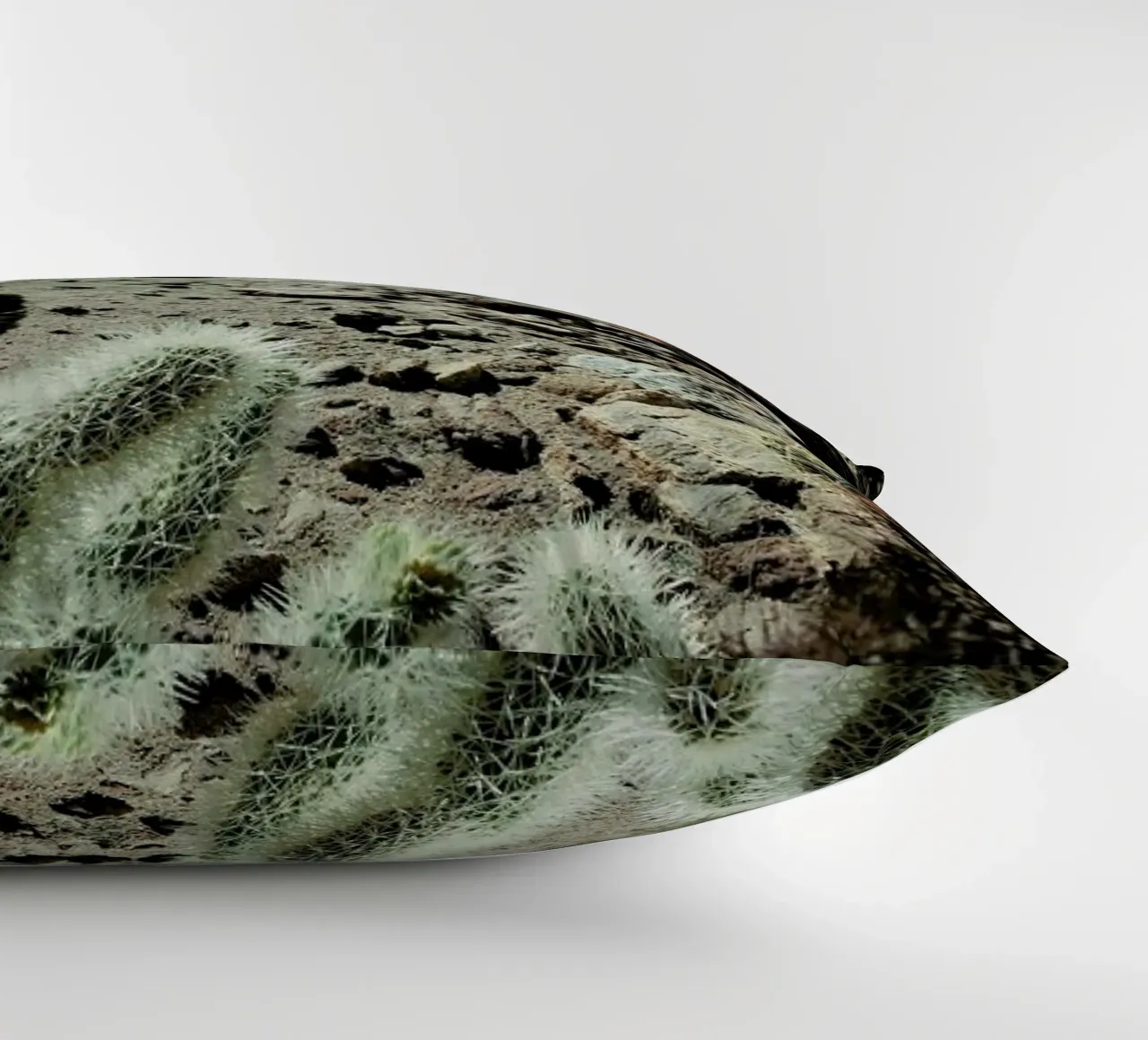 Cholla Frame cuscino da Kevin Russ