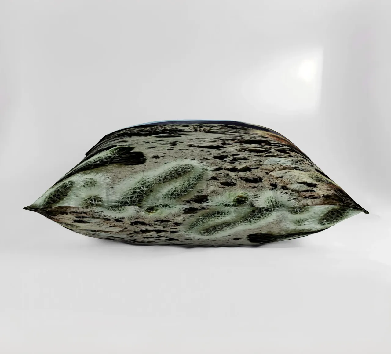 Cholla Frame cuscino da Kevin Russ