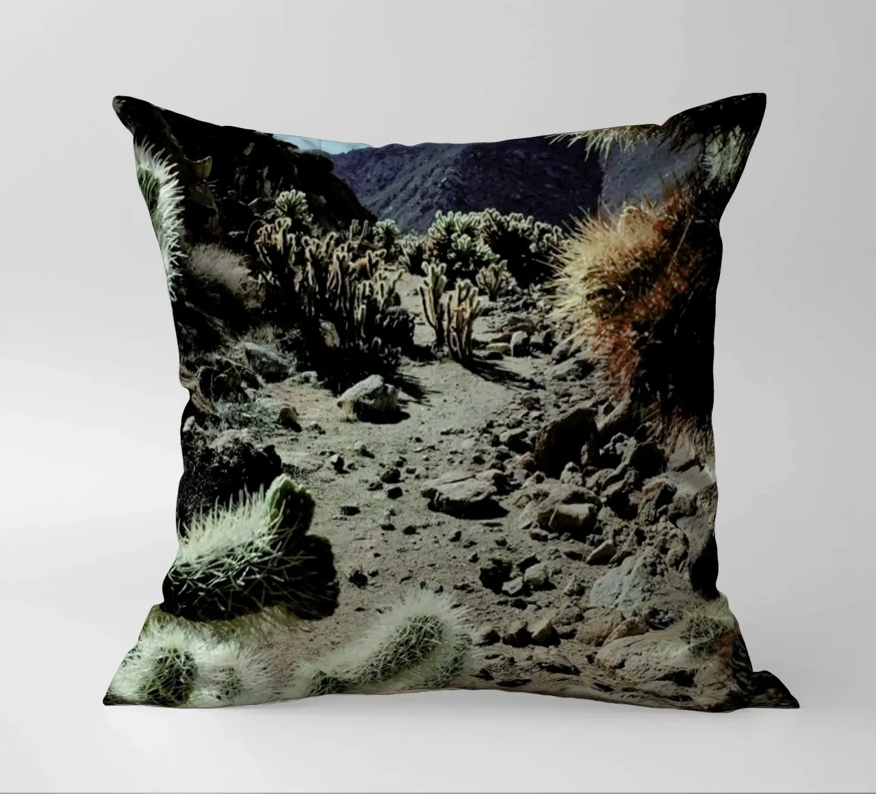 Cholla Frame cuscino da Kevin Russ