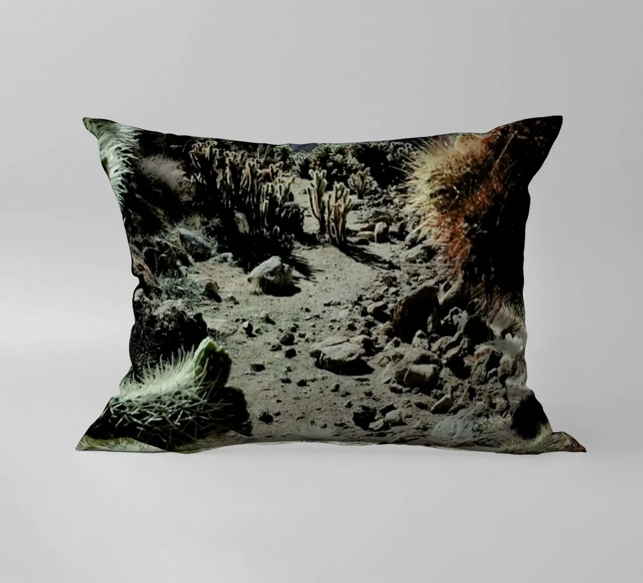 Cholla Frame cuscino da Kevin Russ