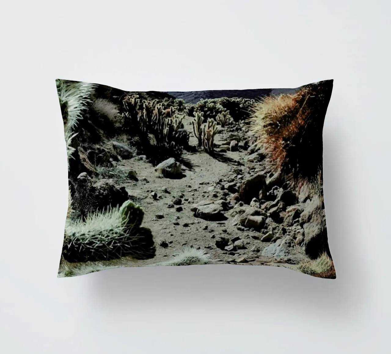 Cholla Frame cuscino da Kevin Russ