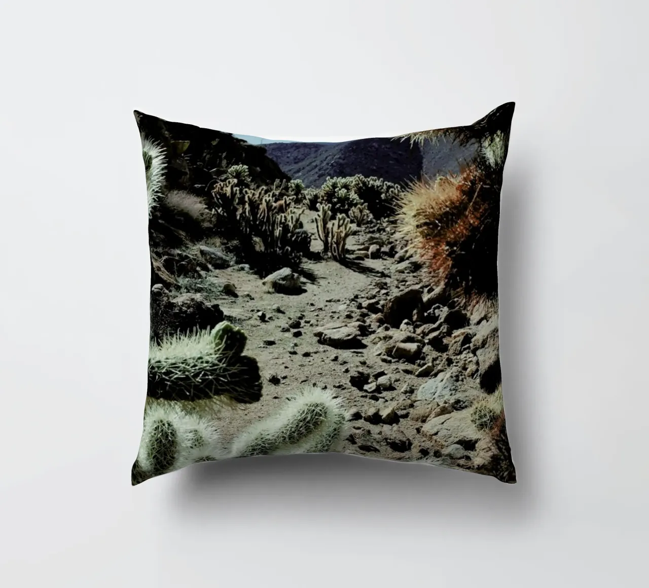 Cholla Frame cuscino da Kevin Russ