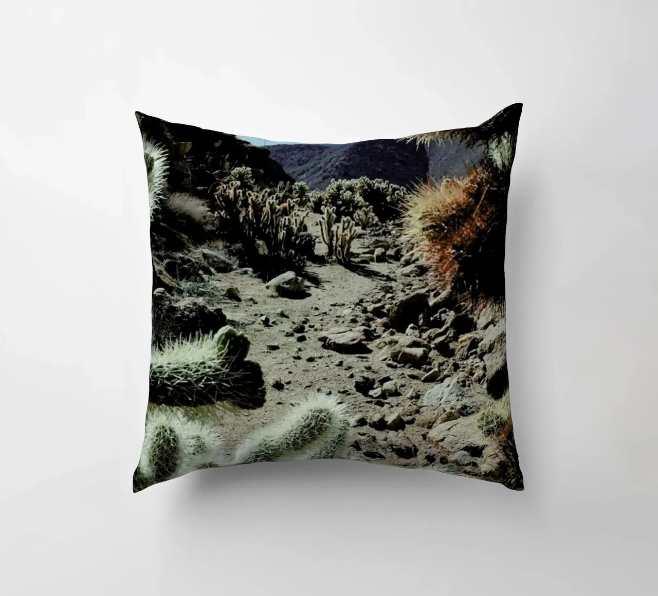 Cholla Frame cuscino da Kevin Russ