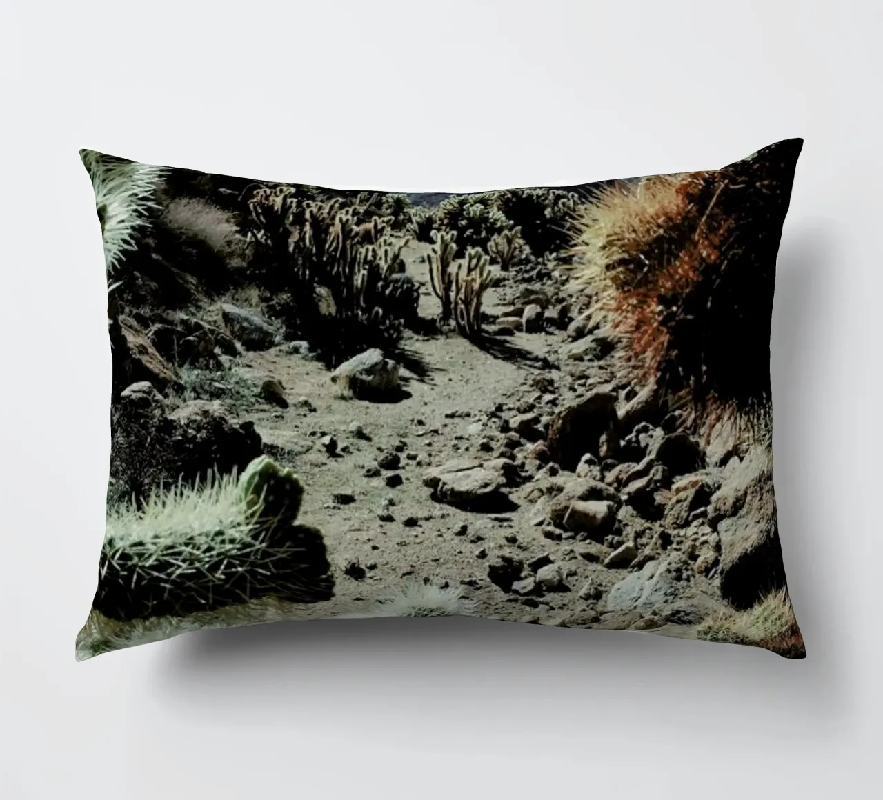 Cholla Frame cuscino da Kevin Russ