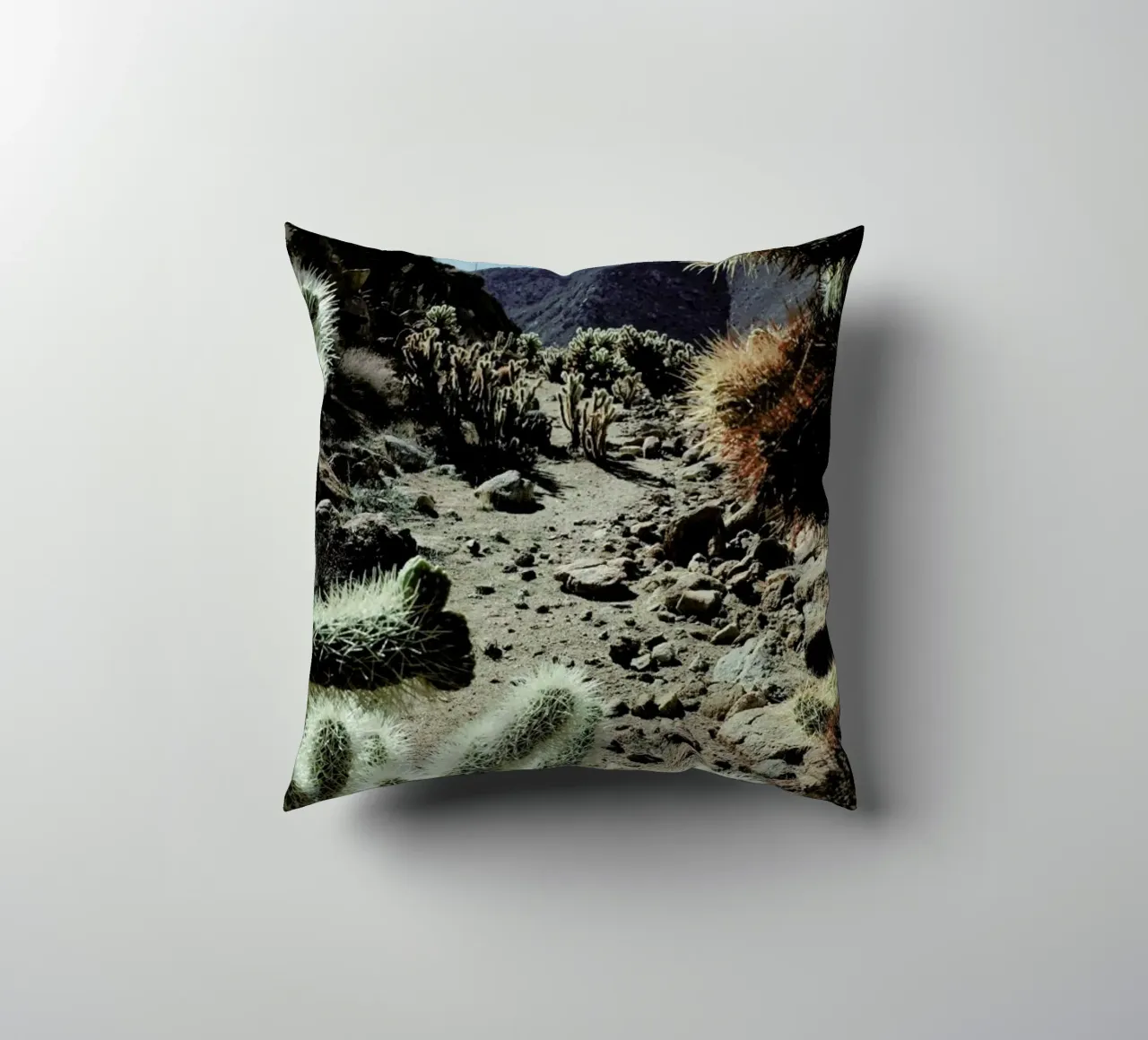 Cholla Frame cuscino da Kevin Russ