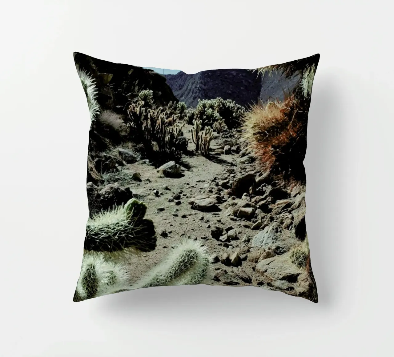 Cholla Frame cuscino da Kevin Russ