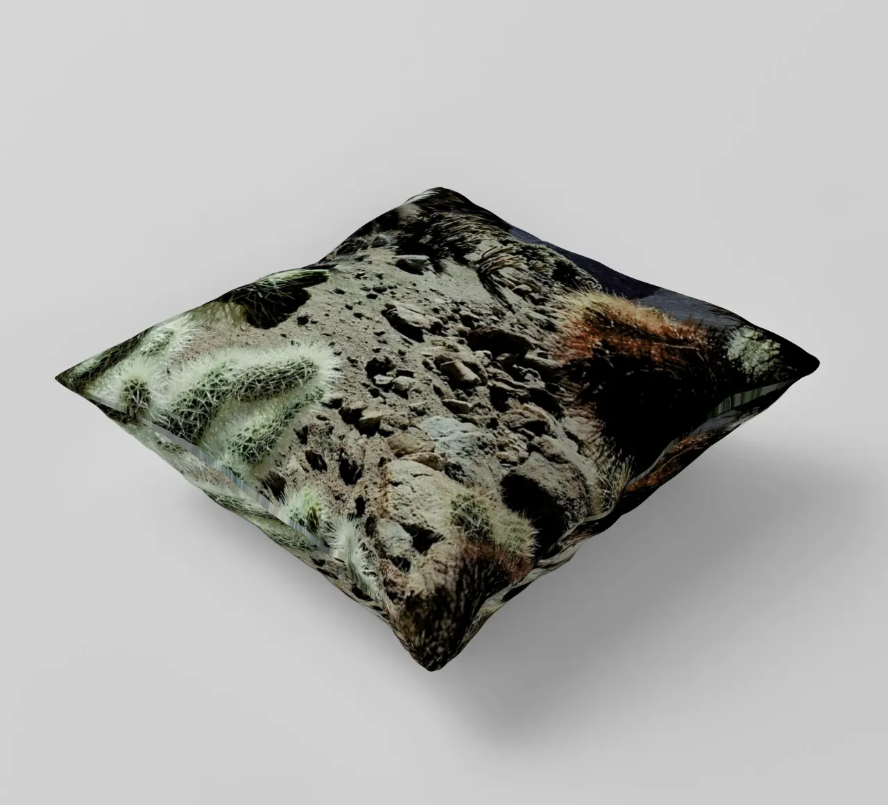 Cholla Frame cuscino da Kevin Russ