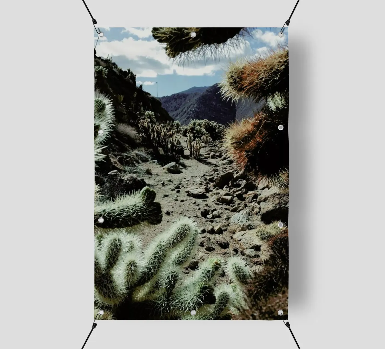 Cholla Frame telo in pvc da Kevin Russ