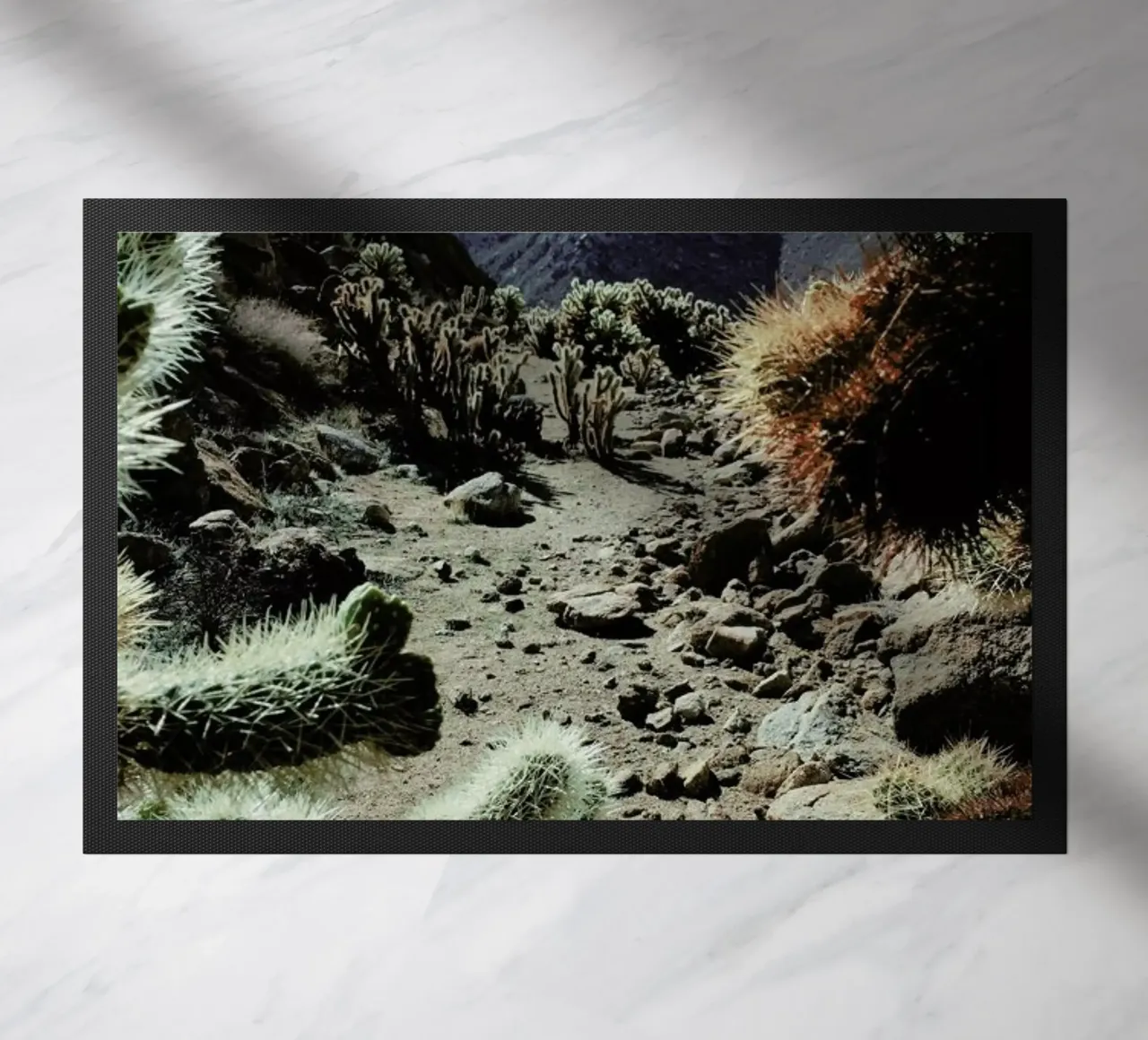 Cholla Frame zerbino da Kevin Russ