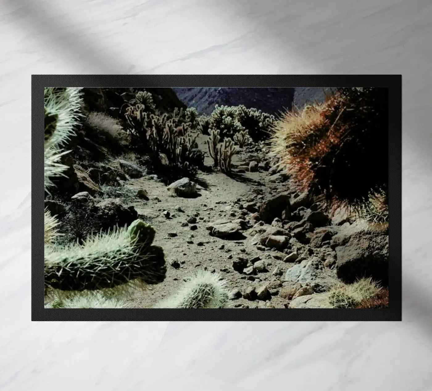 Cholla Frame zerbino da Kevin Russ