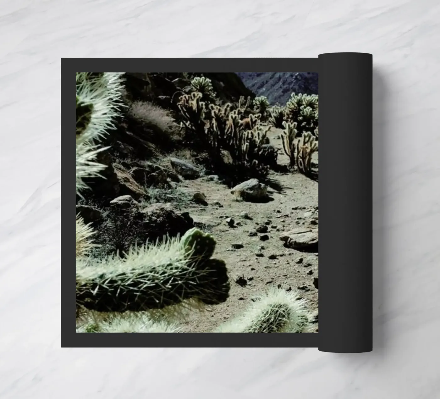 Cholla Frame zerbino da Kevin Russ