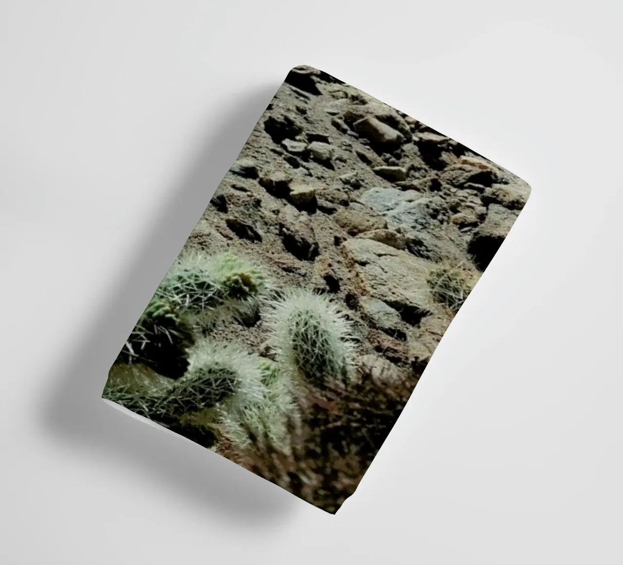 Cholla Frame asciugamano da bagno da Kevin Russ