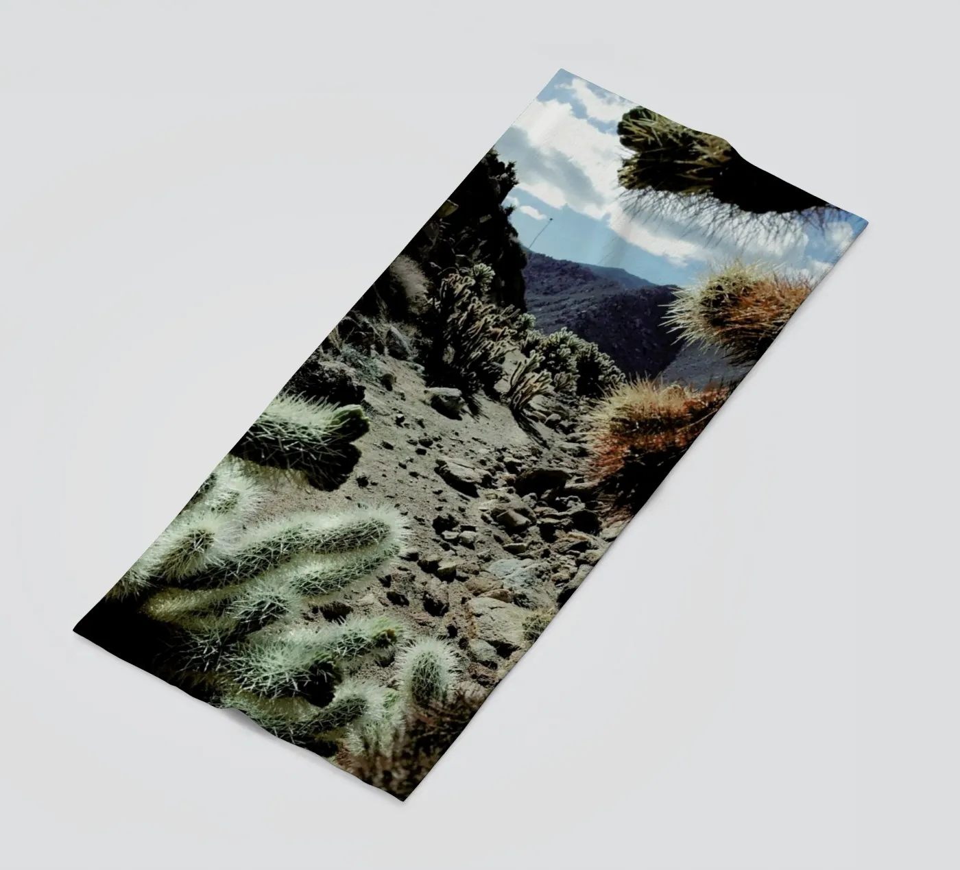 Cholla Frame telo mare da Kevin Russ