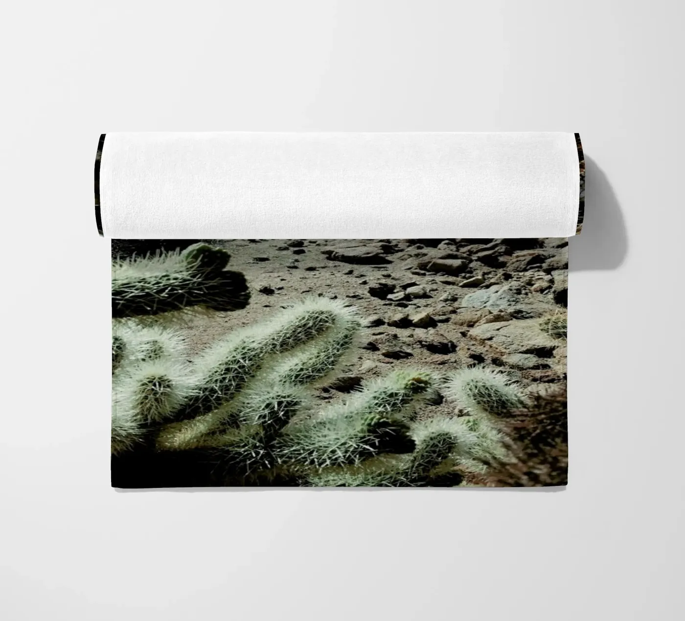 Cholla Frame telo mare da Kevin Russ