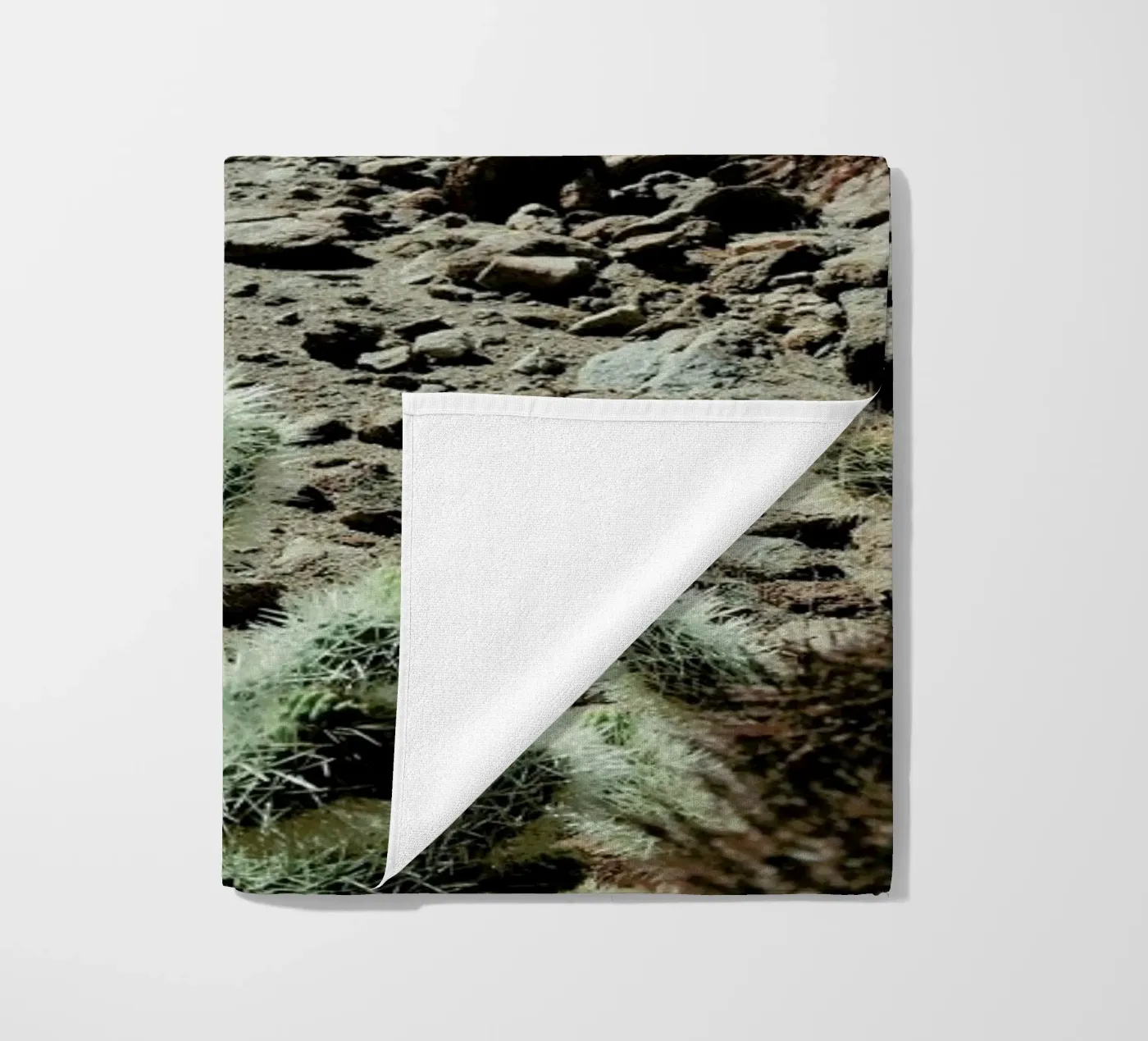 Cholla Frame telo mare da Kevin Russ