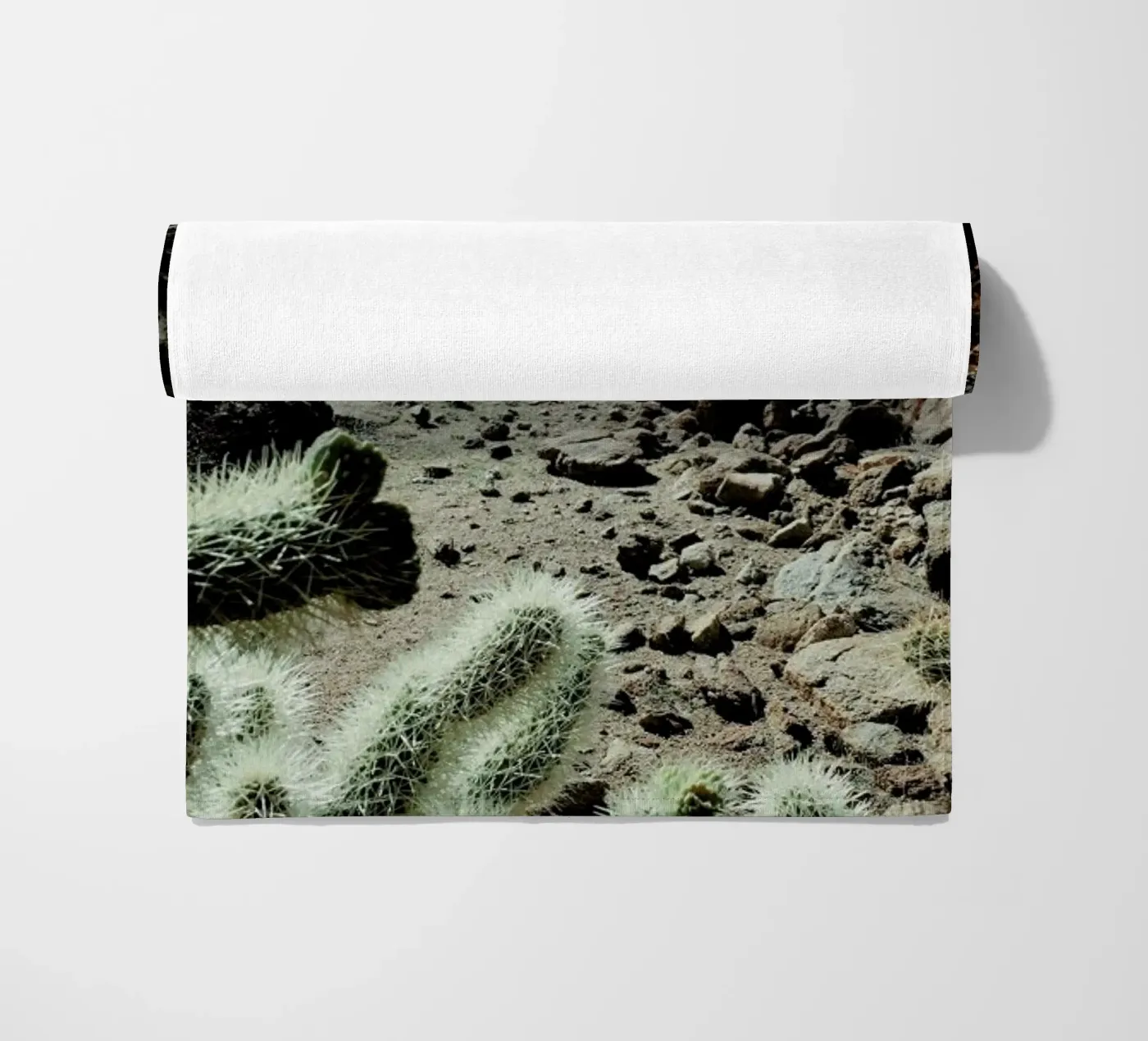 Cholla Frame telo mare da Kevin Russ