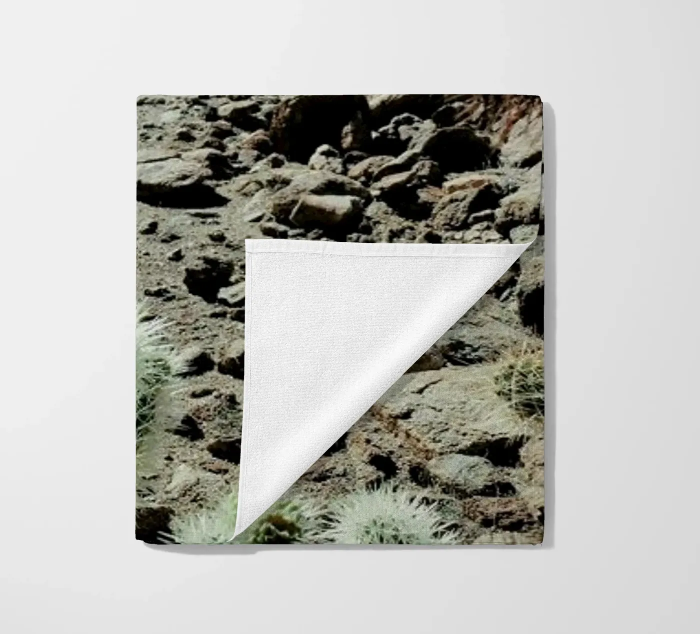 Cholla Frame telo mare da Kevin Russ