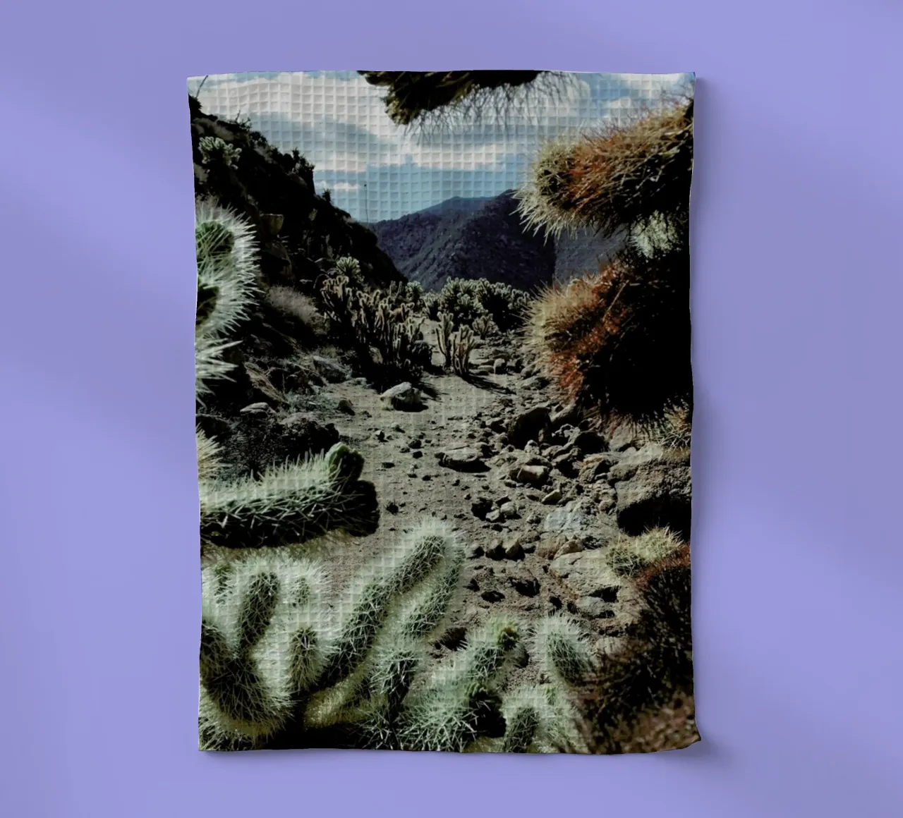 Cholla Frame canovaccio da cucina da Kevin Russ