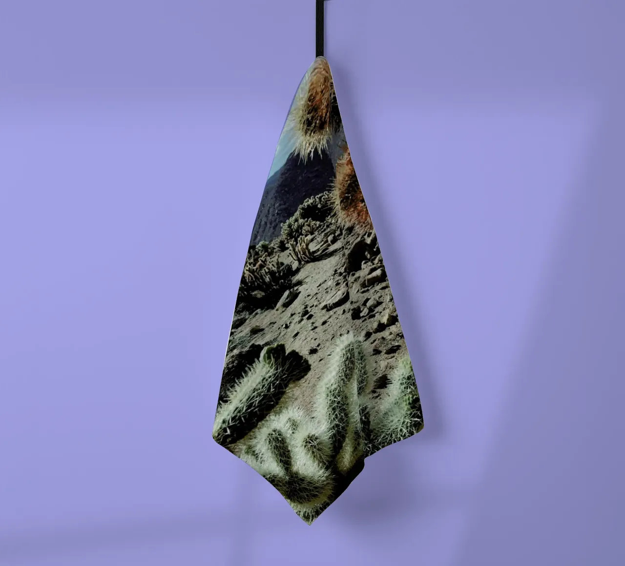 Cholla Frame canovaccio da cucina da Kevin Russ