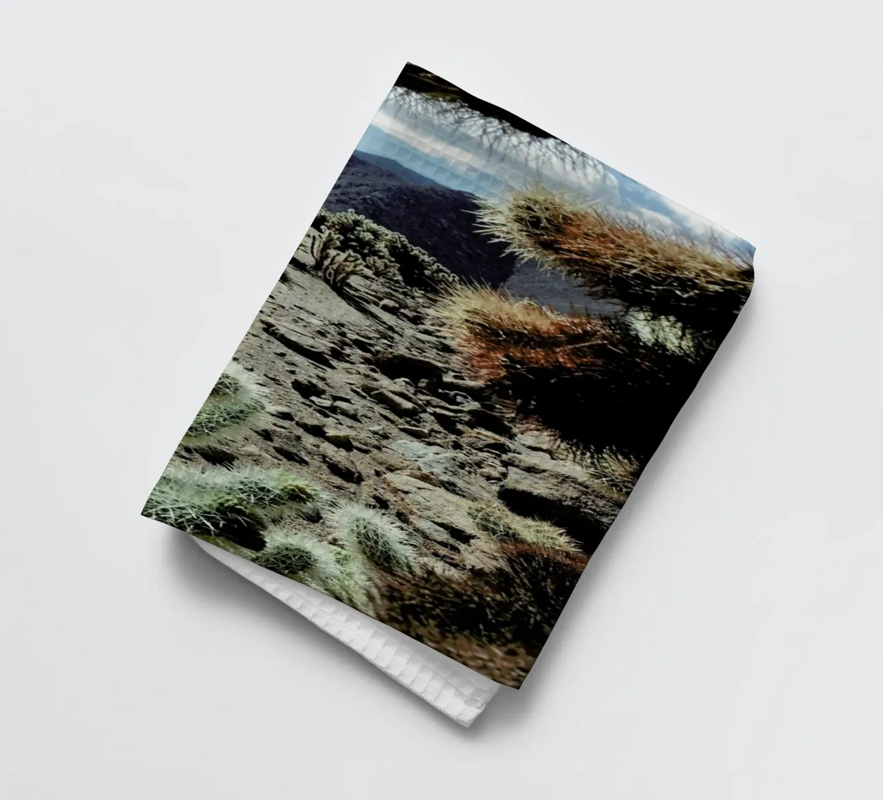 Cholla Frame canovaccio da cucina da Kevin Russ