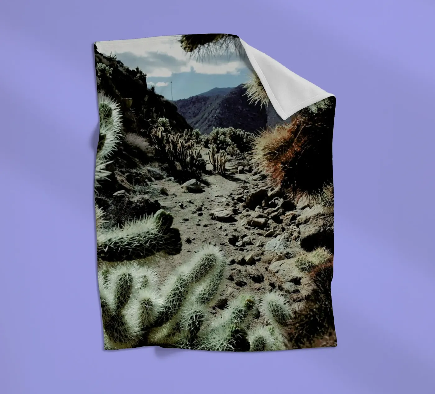 Cholla Frame fleecedeken van Kevin Russ