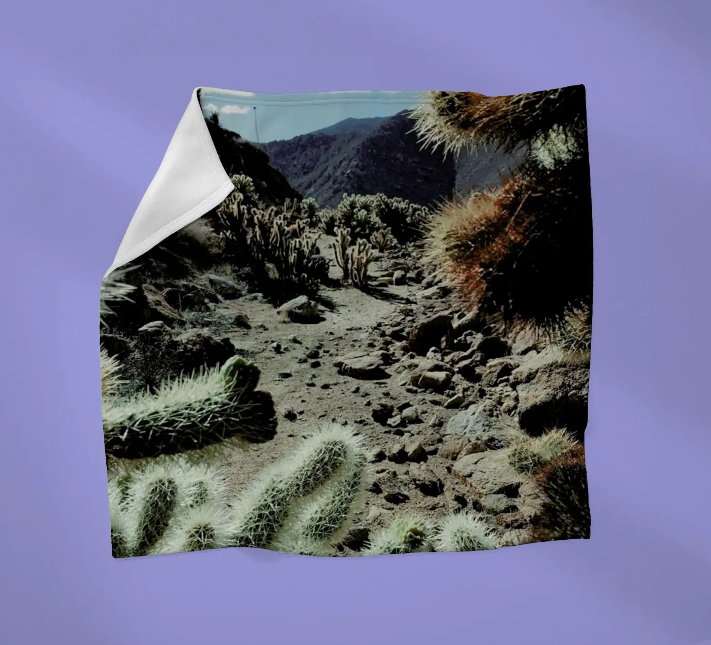 Cholla Frame fleecedeken van Kevin Russ