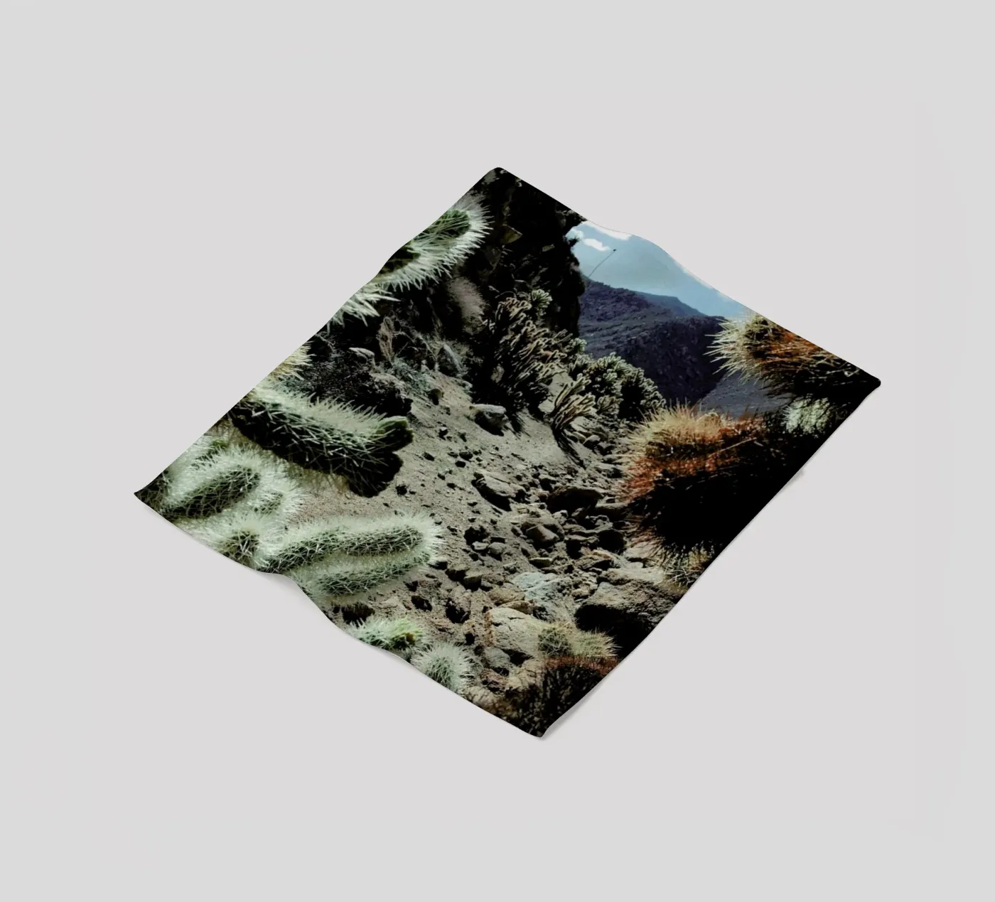 Cholla Frame fleecedeken van Kevin Russ