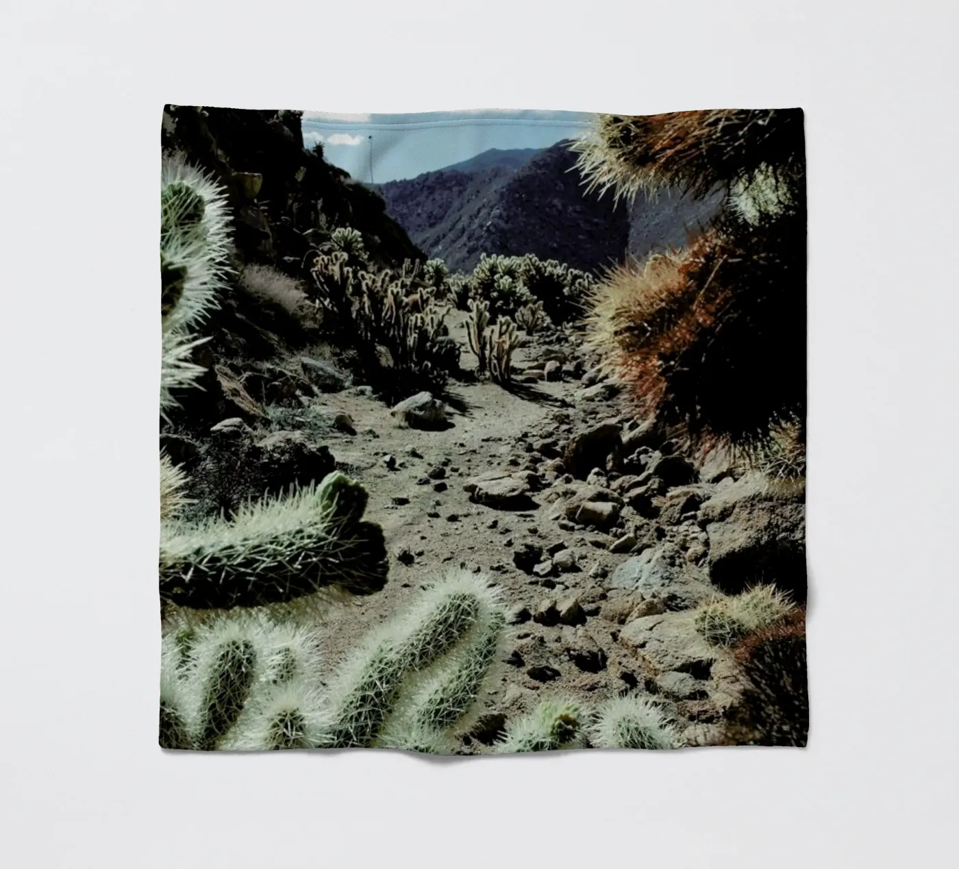 Cholla Frame fleecedeken van Kevin Russ