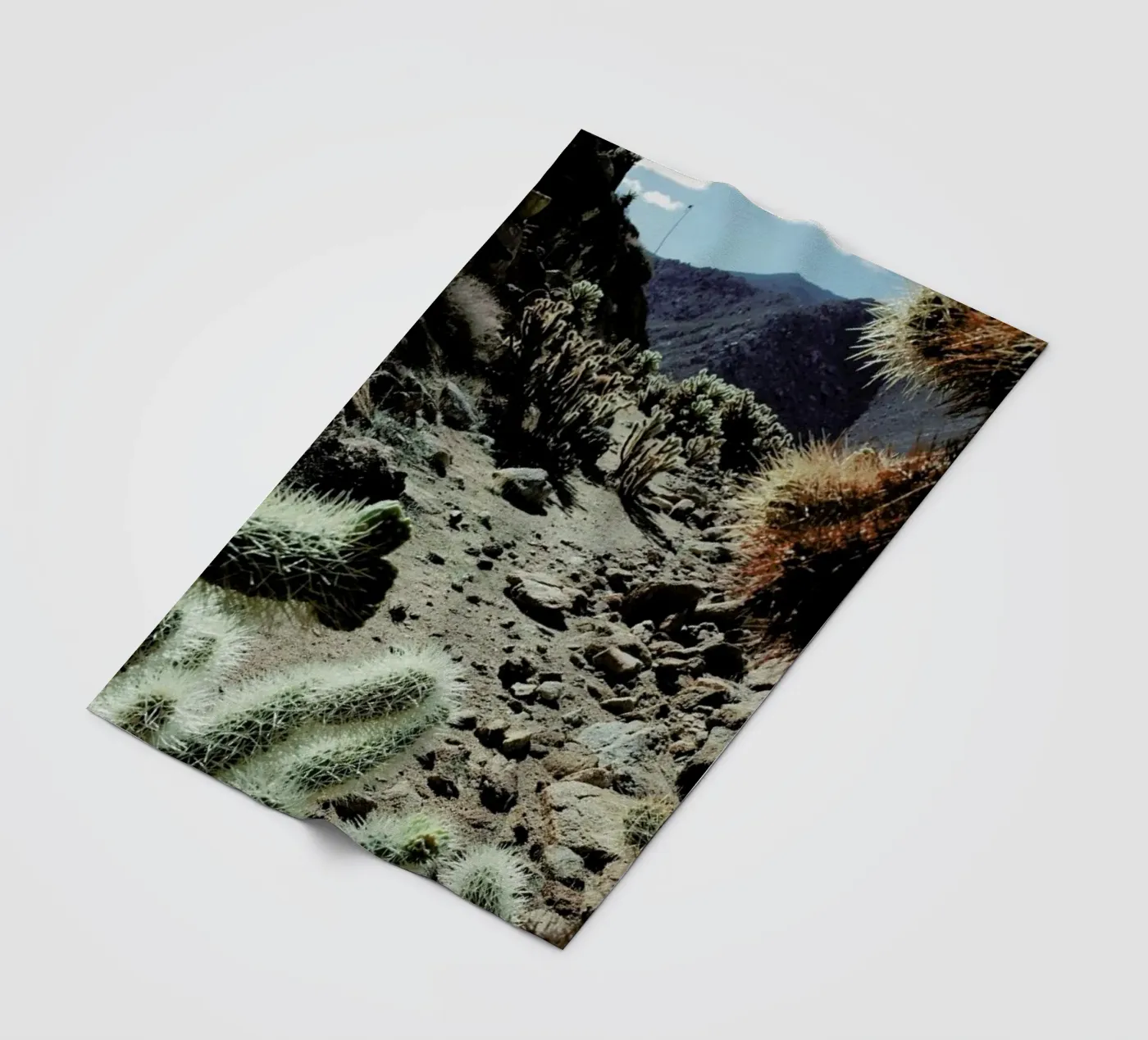 Cholla Frame fleecedeken van Kevin Russ