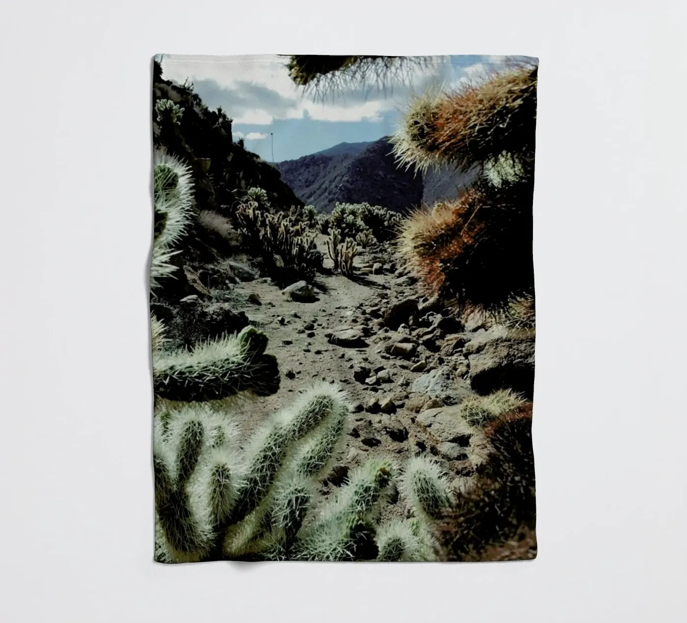 Cholla Frame fleecedeken van Kevin Russ