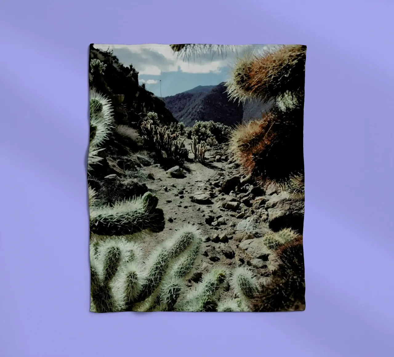 Cholla Frame coperta in pile da Kevin Russ