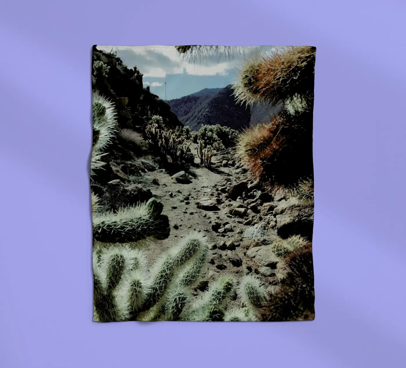 Cholla Frame fleecedeken van Kevin Russ