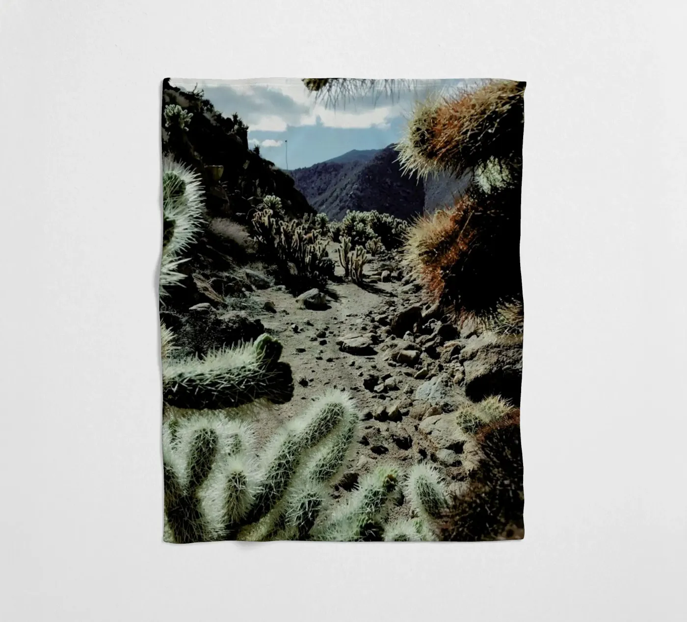 Cholla Frame fleecedeken van Kevin Russ