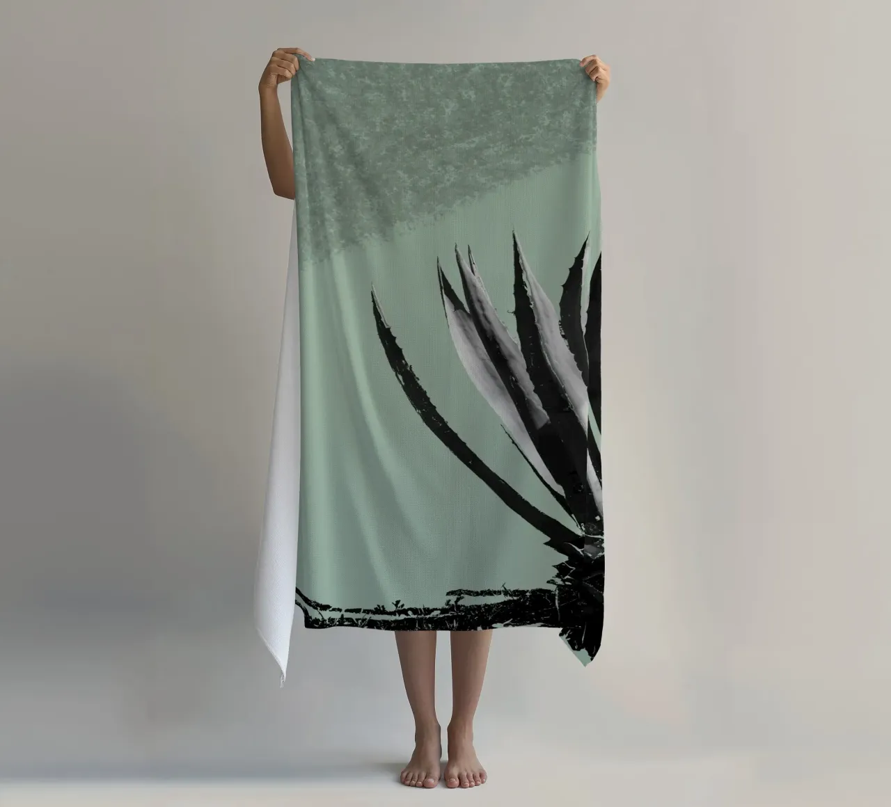 Cactus telo mare da Studio Driver